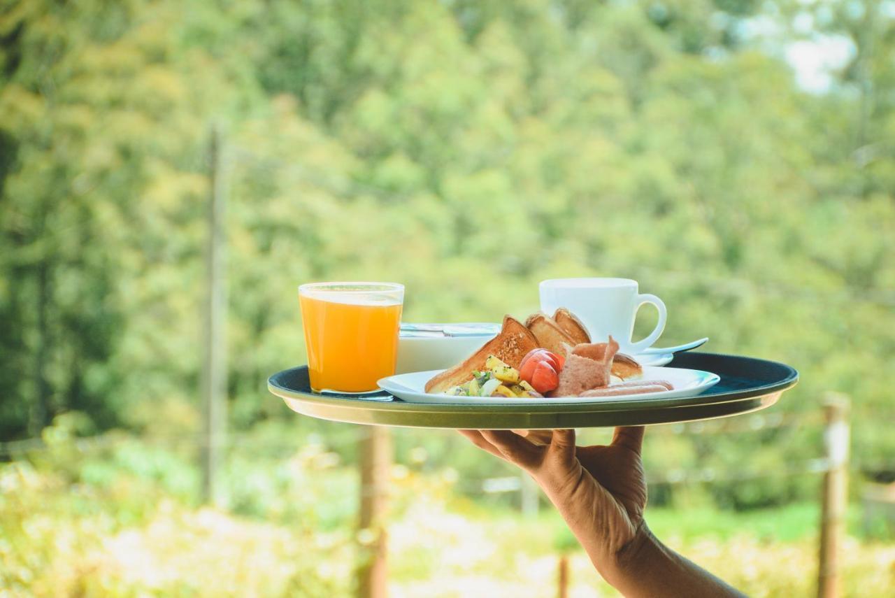 Misthill Rest - Lavish Villa Nuwara Eliya Dış mekan fotoğraf